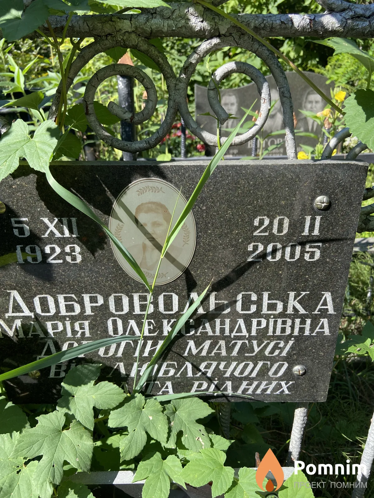 Добровольская Марія Олександрівна