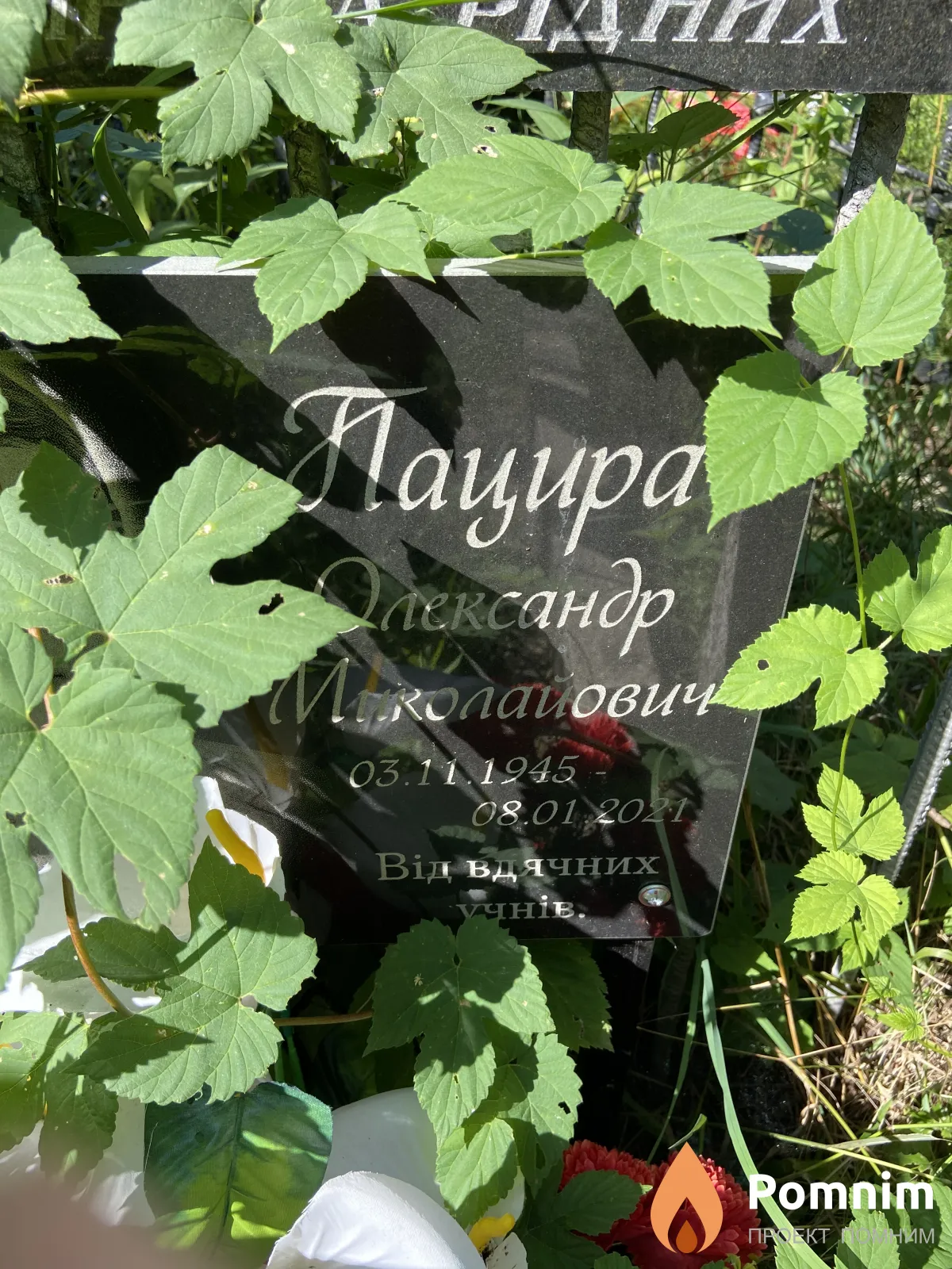 Пацира Олександр Миколайович