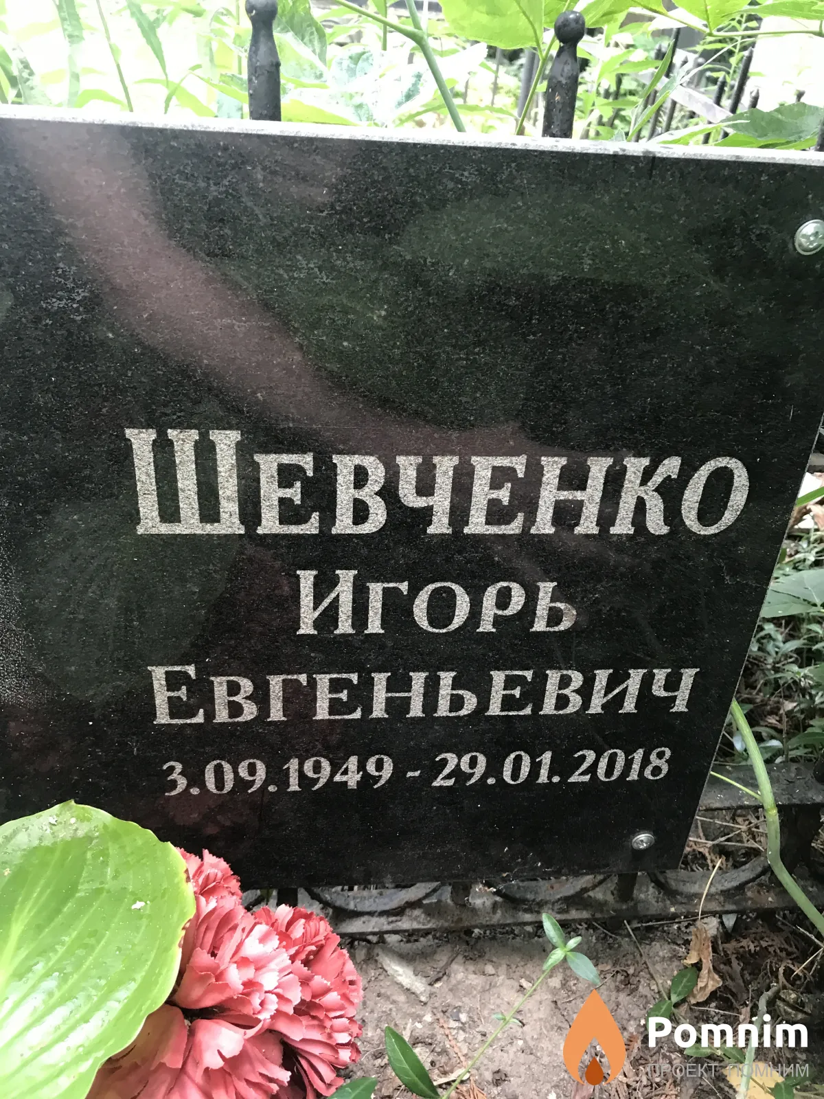 Шевченко Игорь Евгеньевич