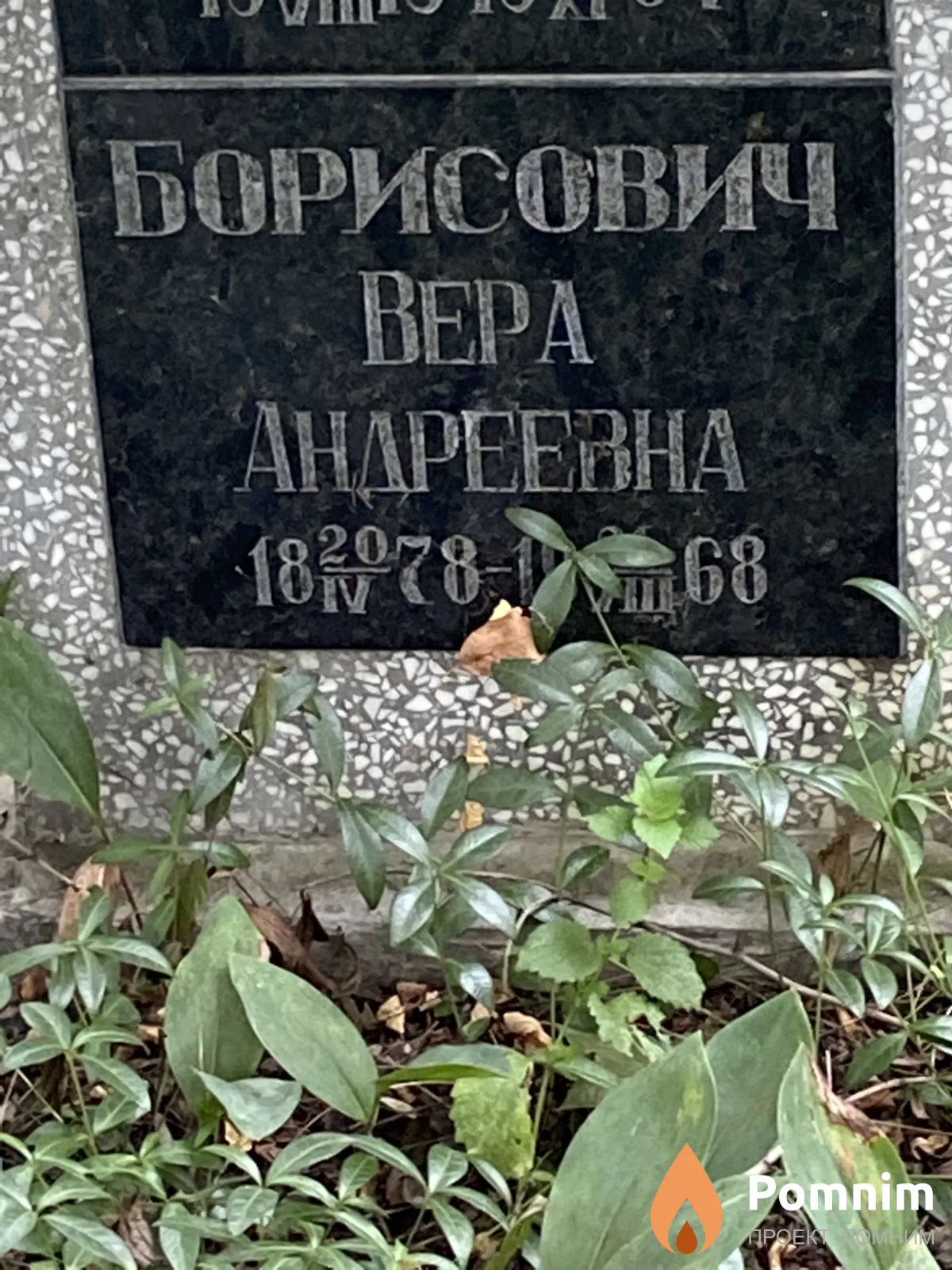 Борисович Bepa Андреевна