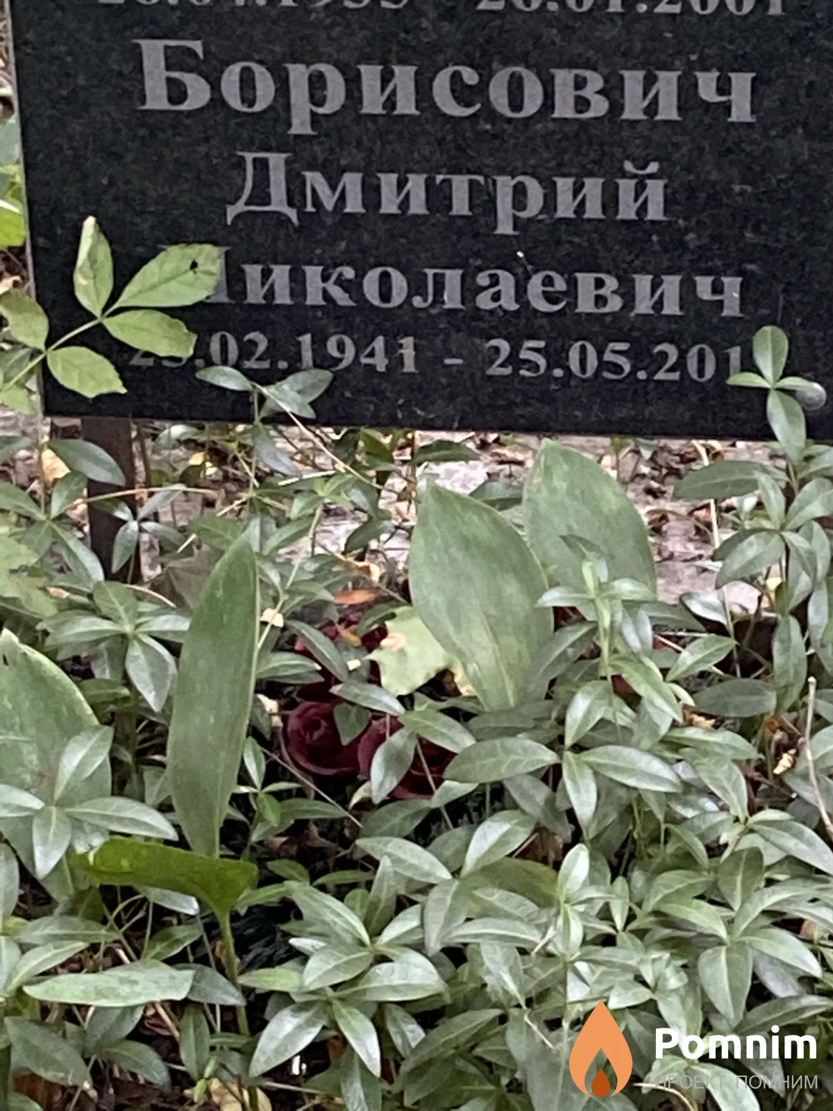 Борисович Дмитрий Николаевич
