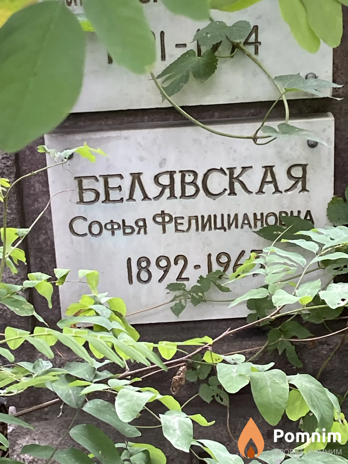 Белявская Софья Фелициановна