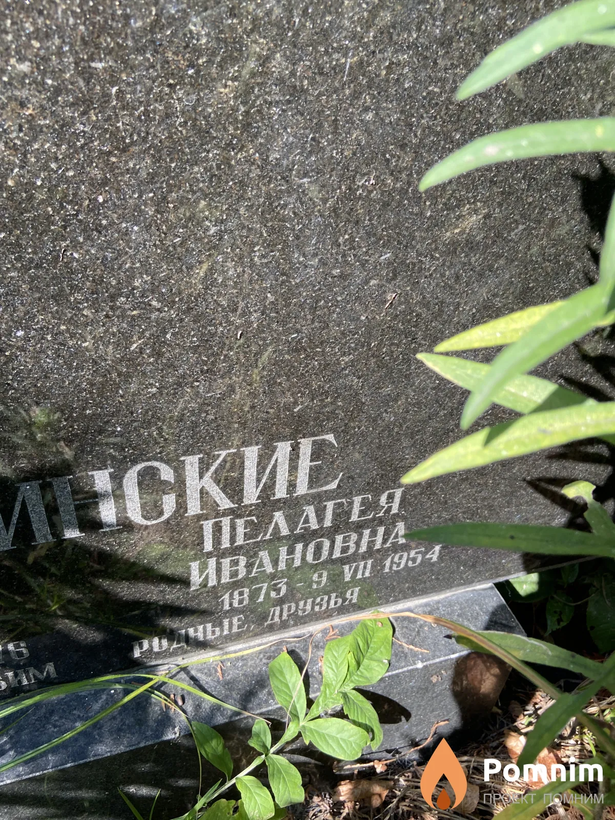 Гребинская Пелагея Ивановна