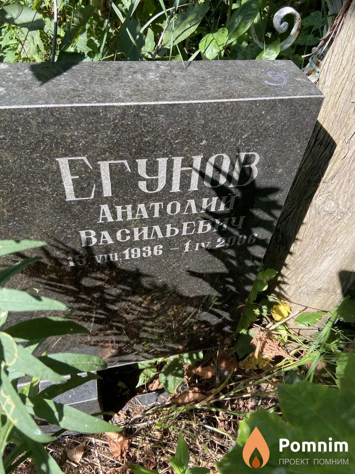 Егунов Анатолий Васильевич