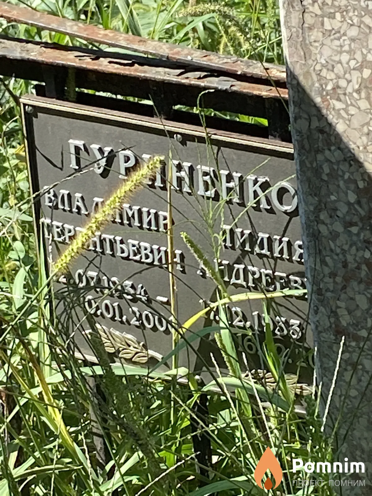 Гуриненко Владимир Терентьевич