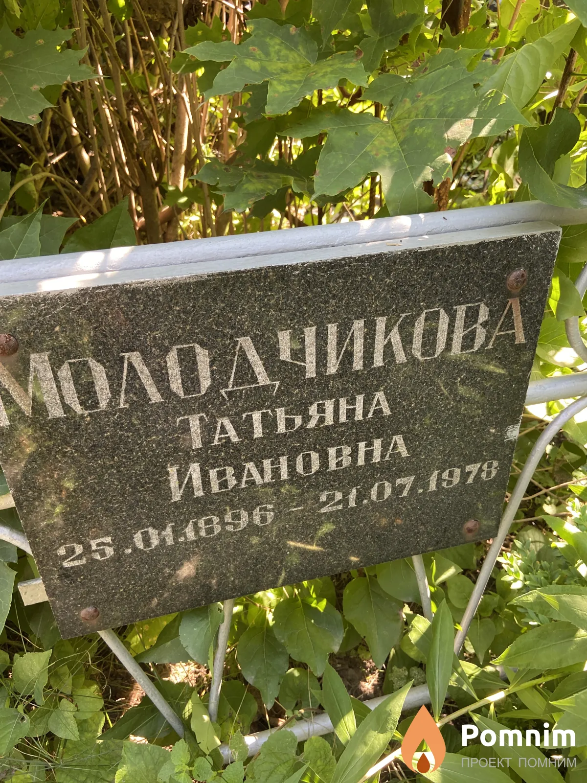 Молодчикова Татьяна Ивановна