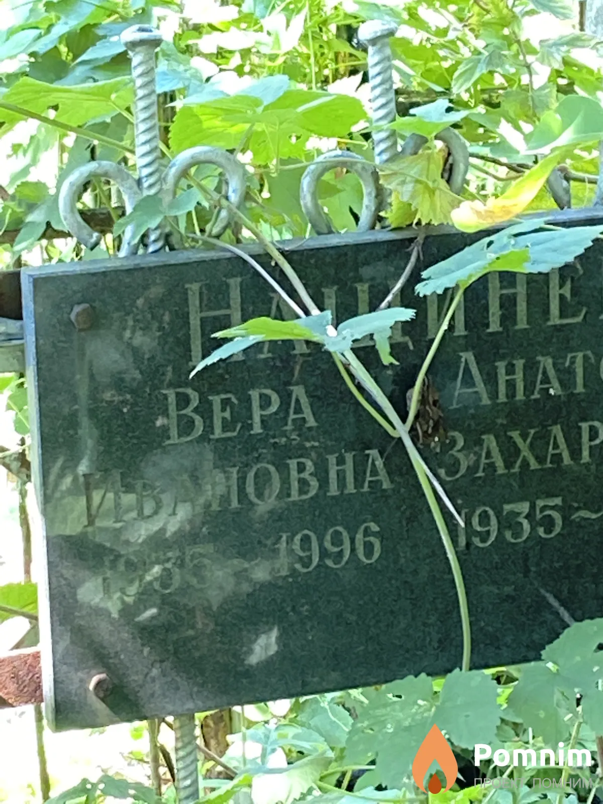 Нащинец Вера Ивановна