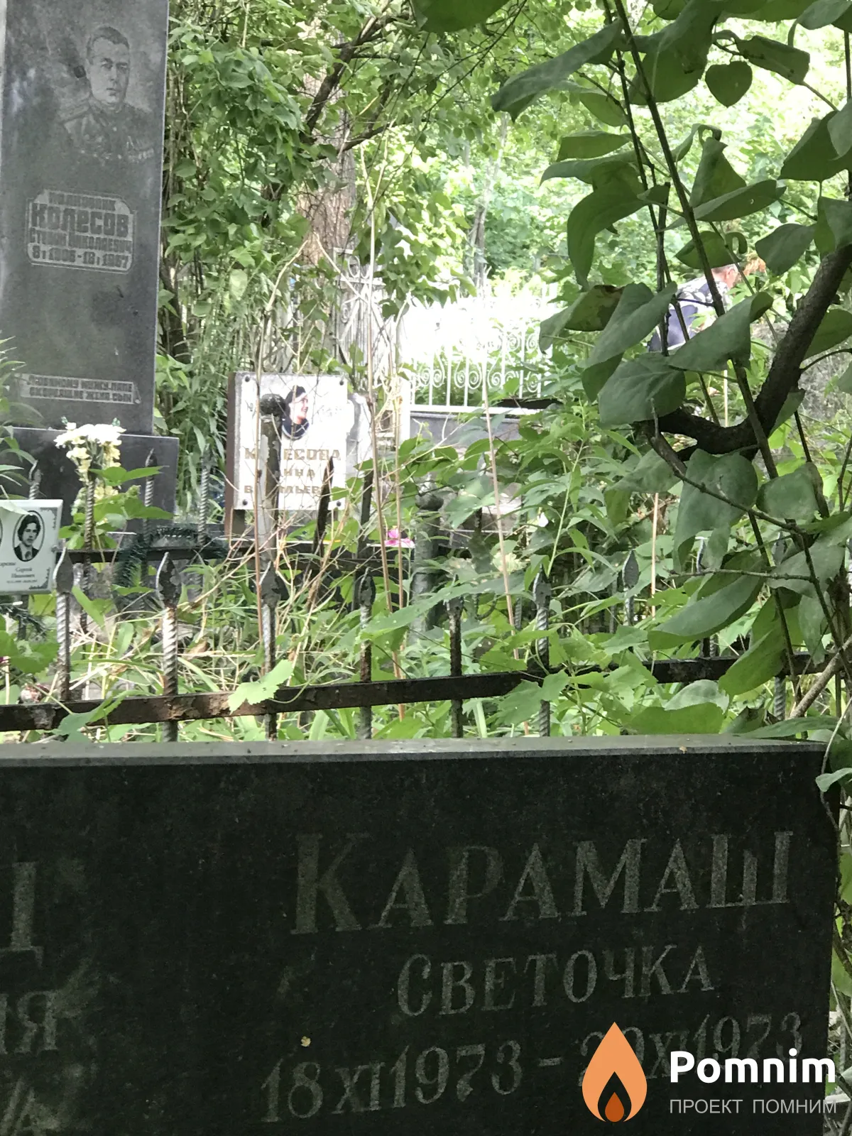 Кармаш Светлана