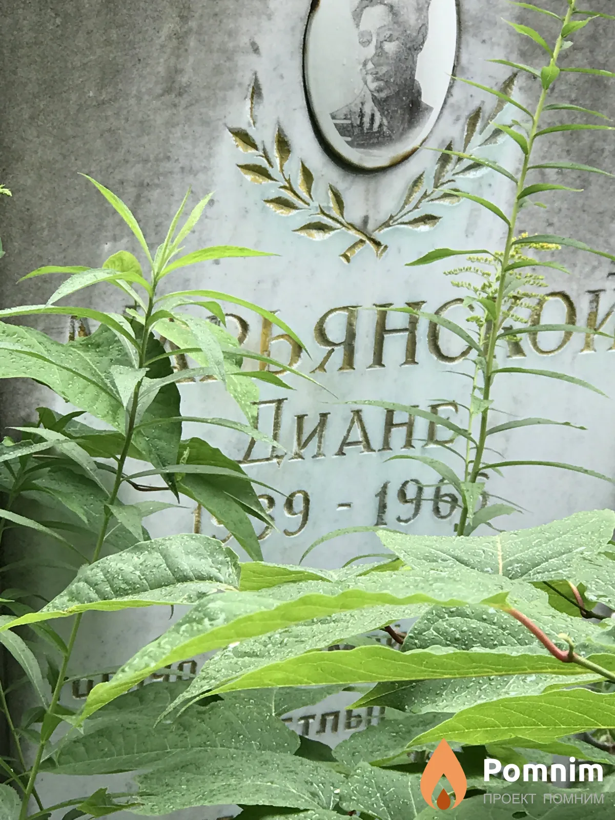 Марьянская Диана