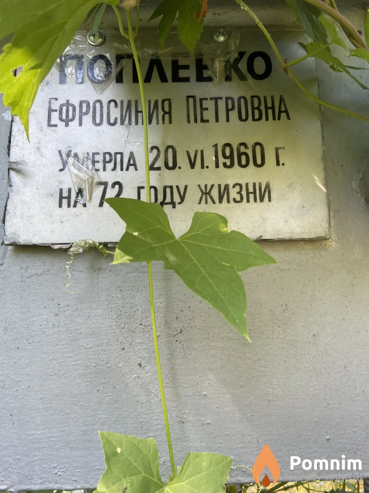 Поплевко Ефросиния Петровна