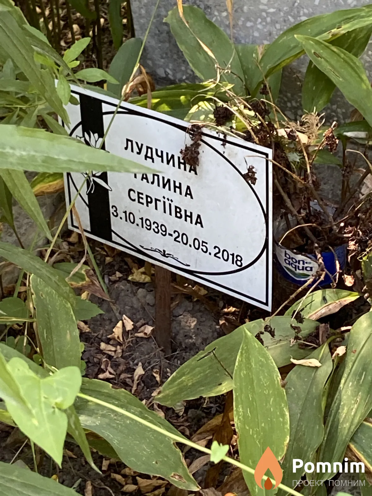 Лудчина Галина Сергівна