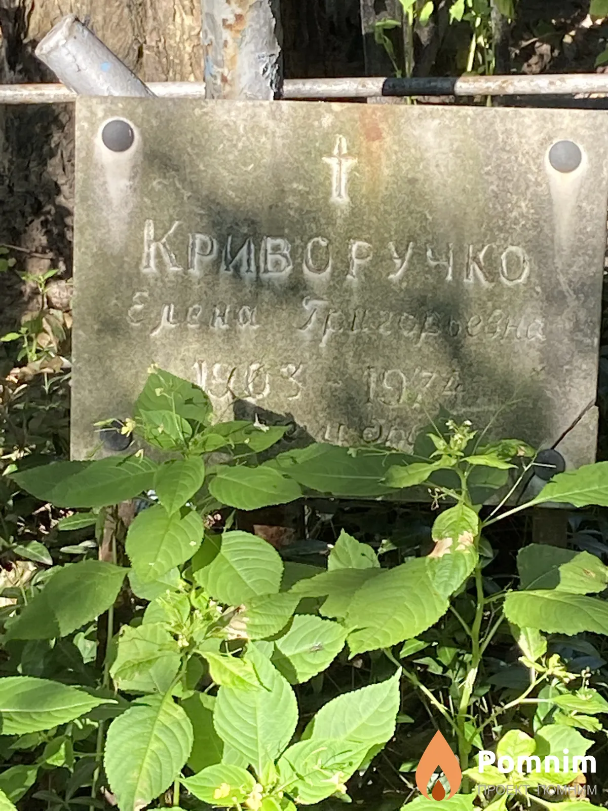 Криворучко Елена Григорьевна