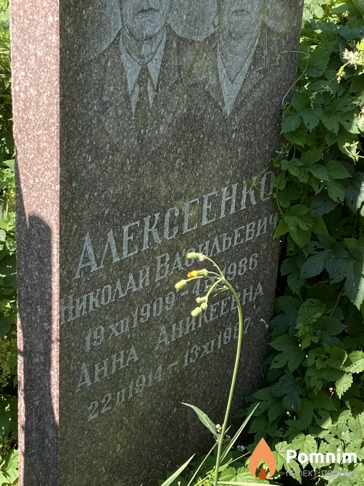 Алексеенко Николай Васильевич