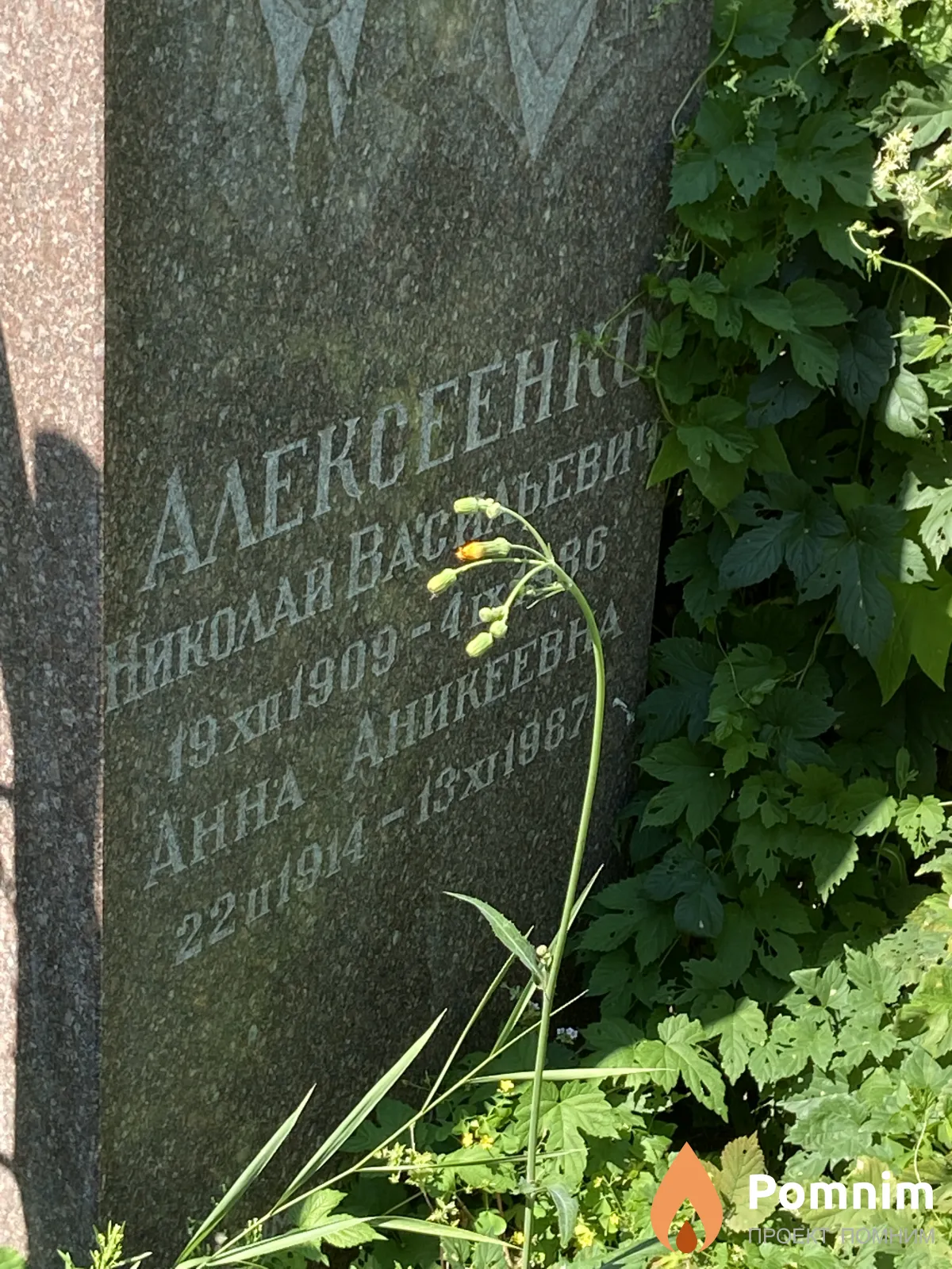 Алексеенко Анна Аникеевна