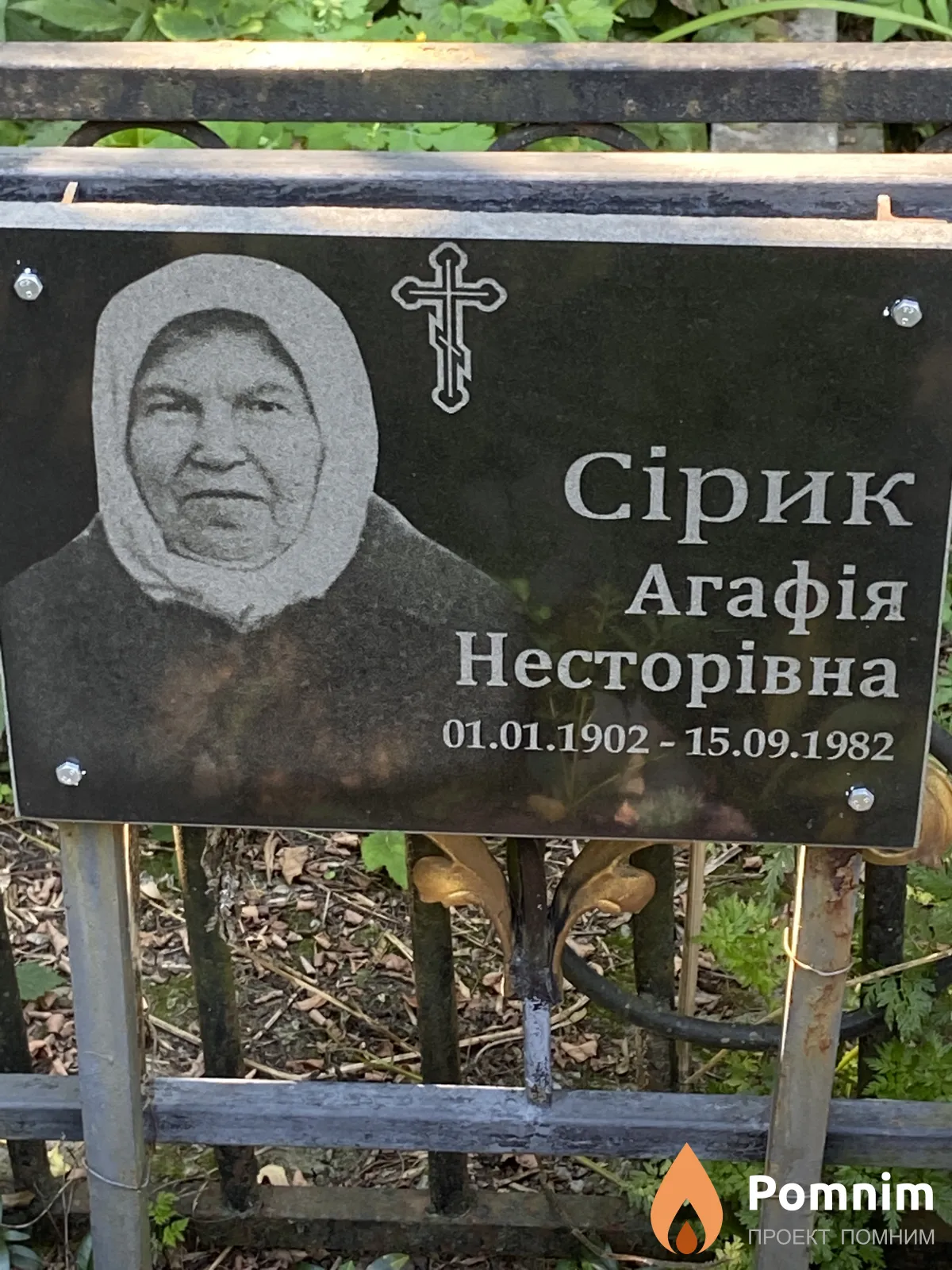 Сірик Агафія Несторівна