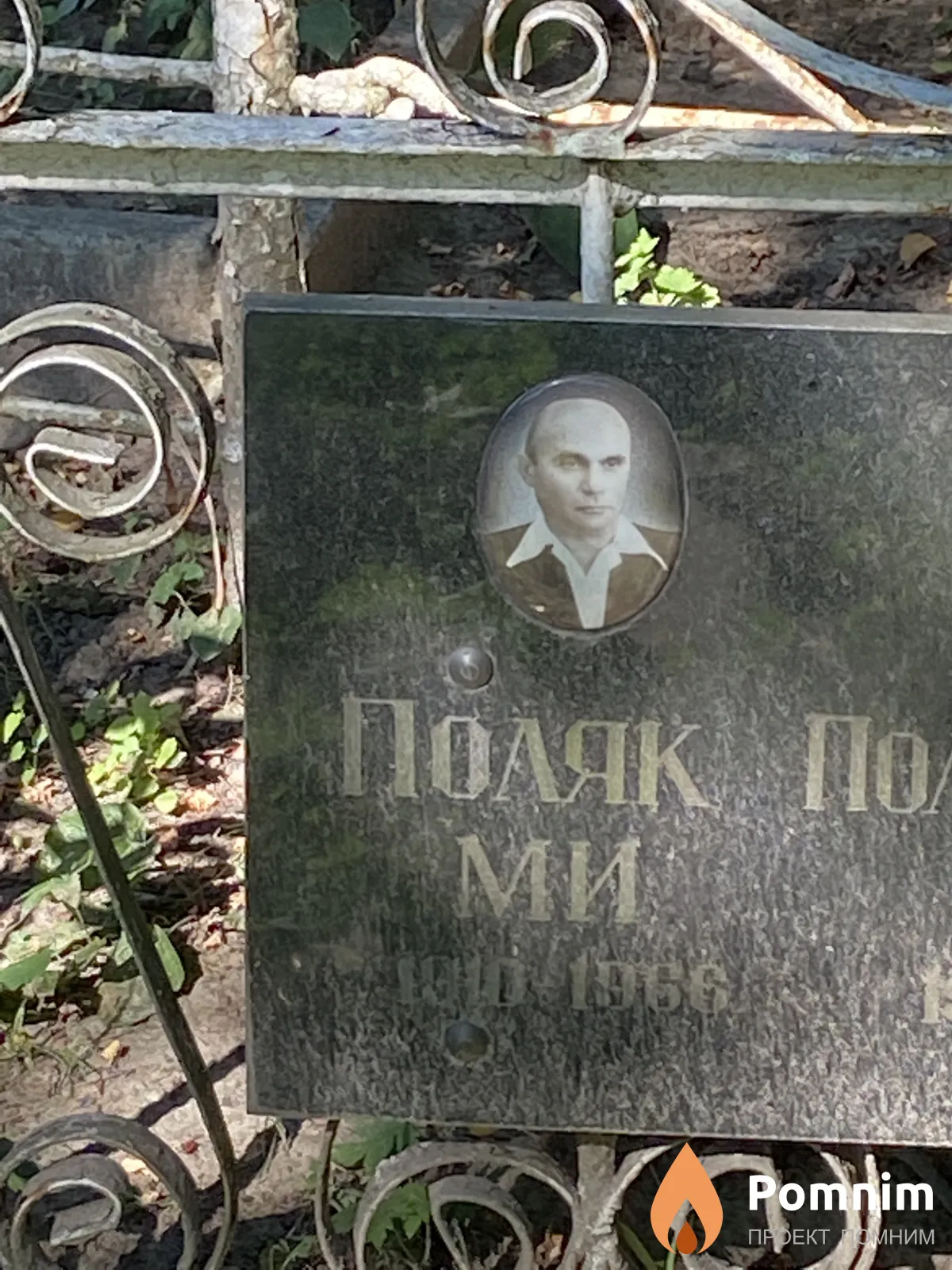 Поляк М И