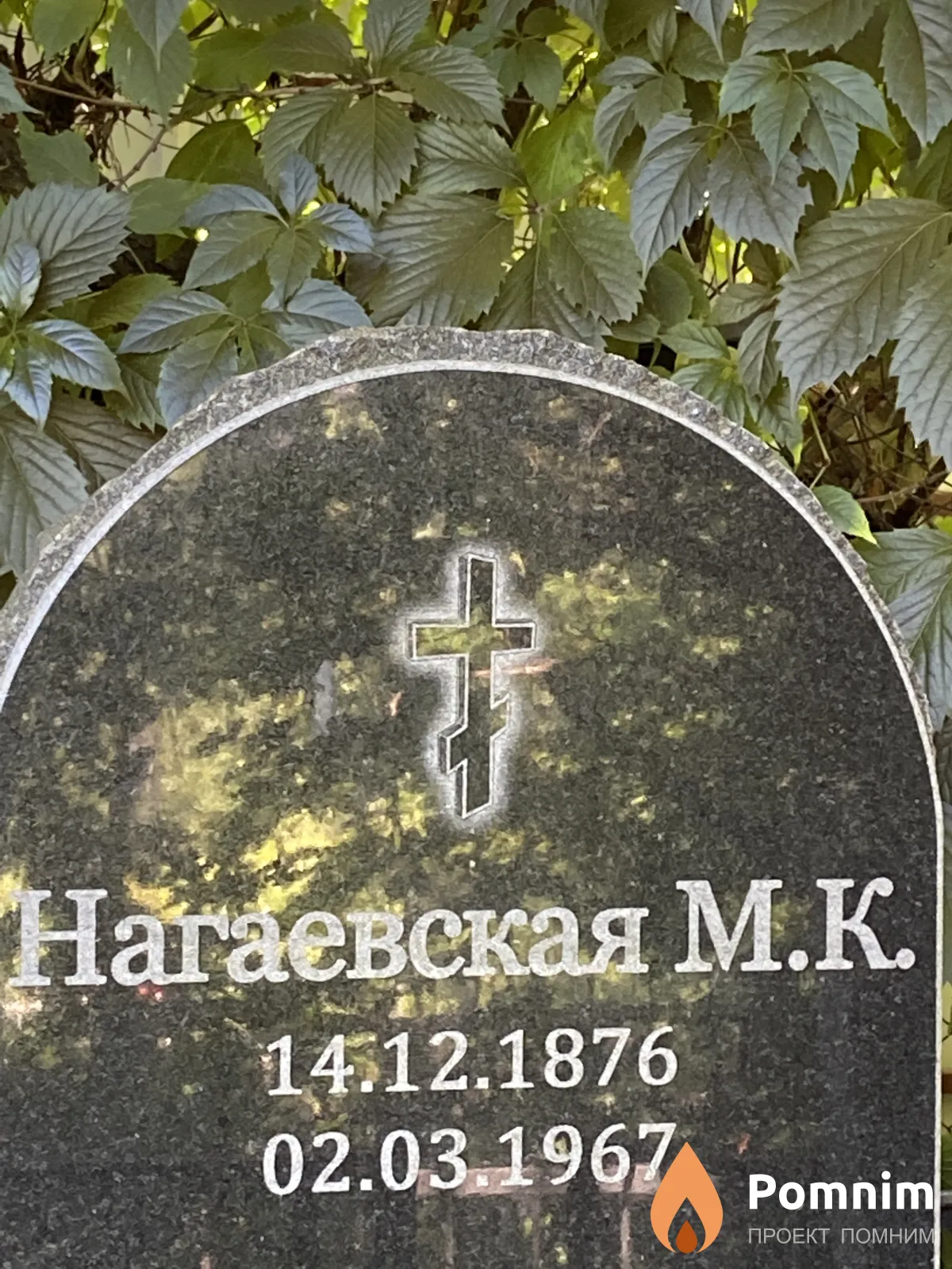 Нагаевская М К