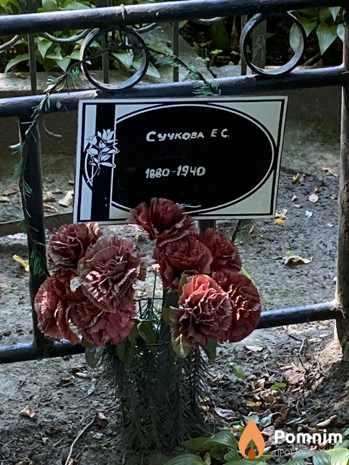 Сучкова Е С