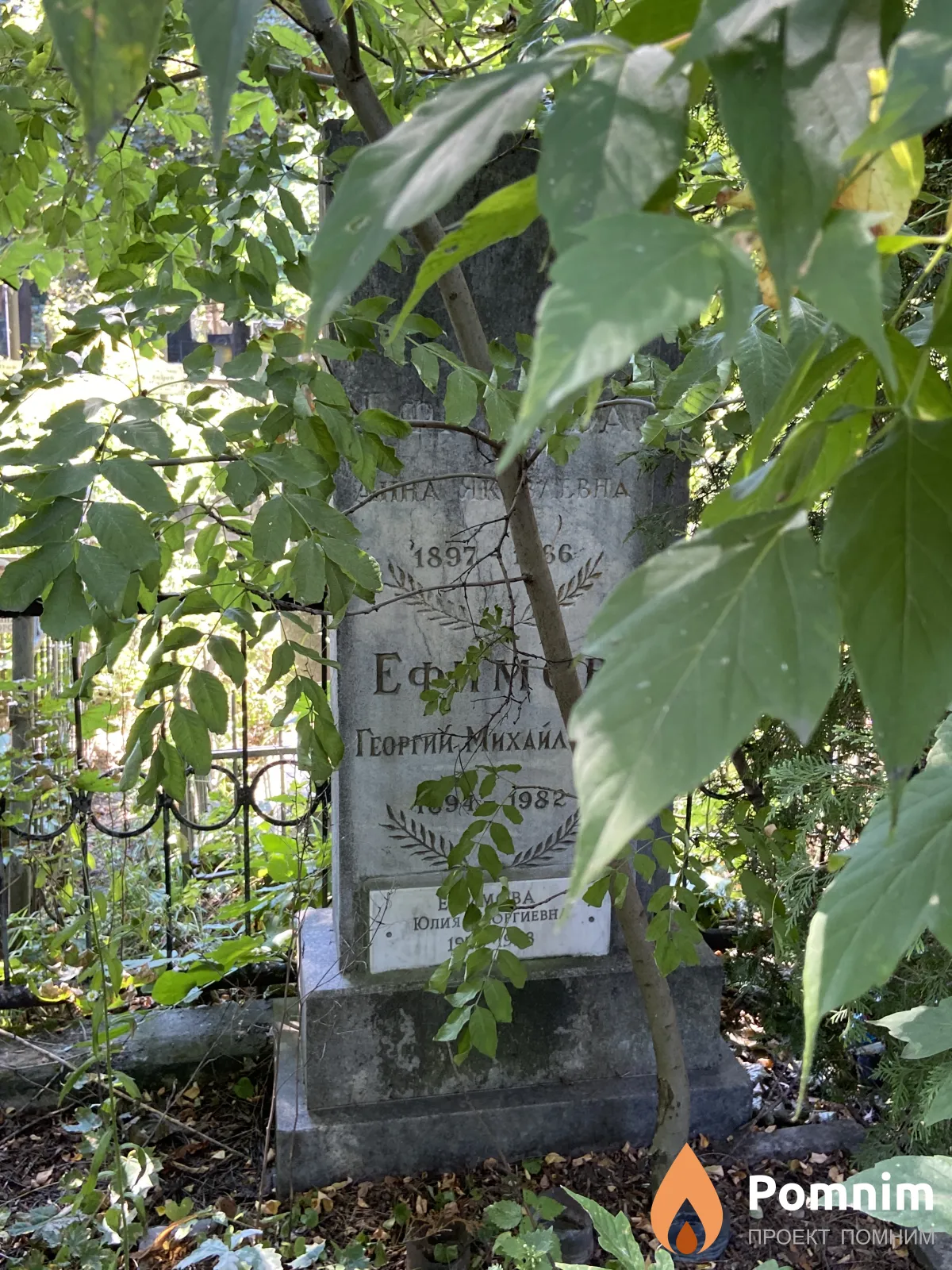 Ефимова Анна Яковлевна