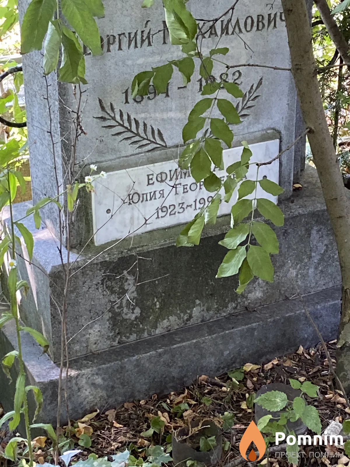Ефимова Юлия Георгиевна