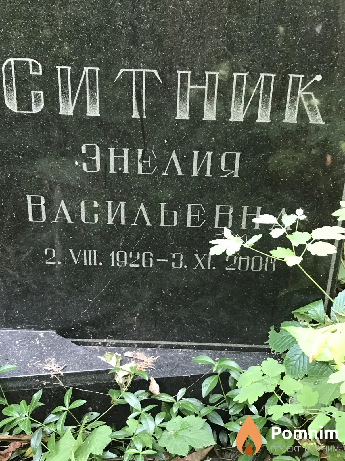 Ситник Энелия Васильевна