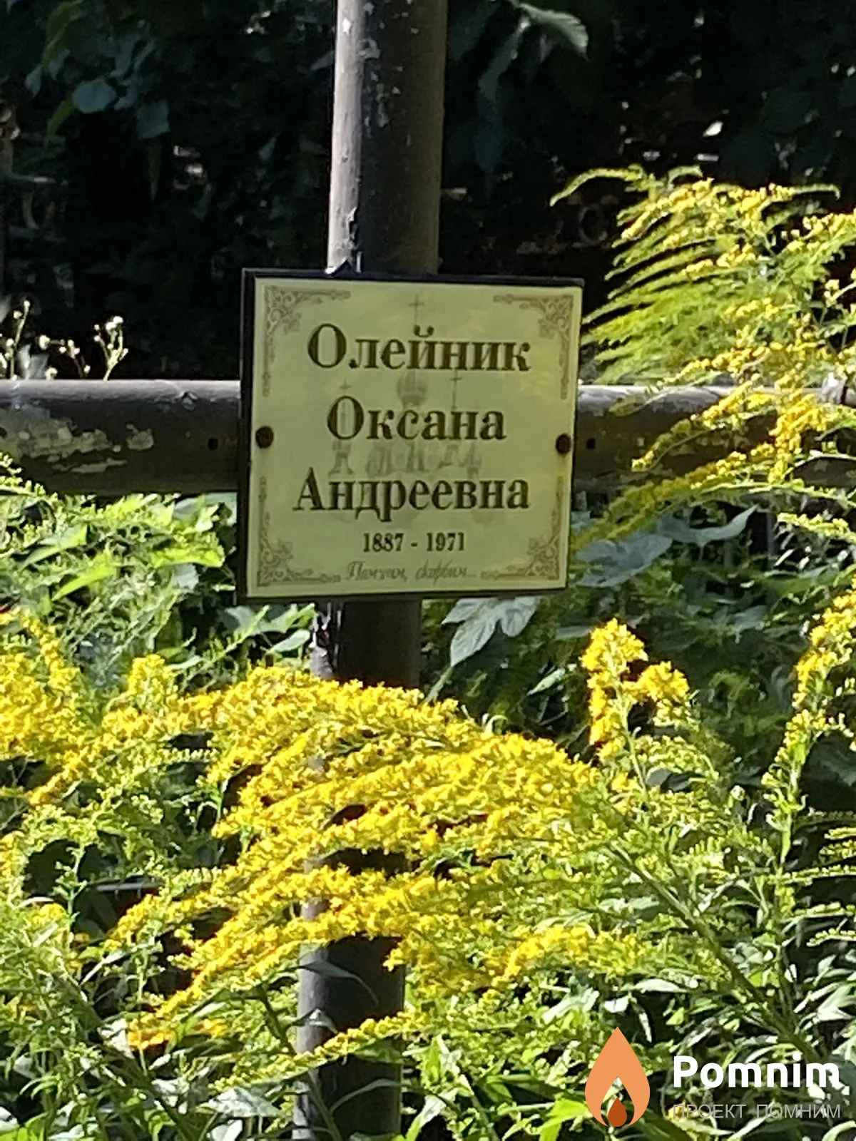 Олейник Оксана Андреевна