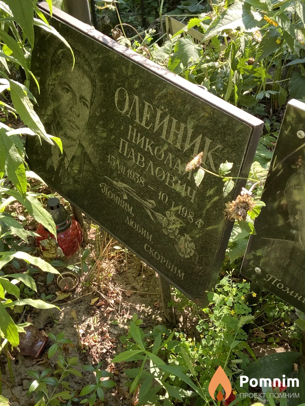 Олейник Николай Павлович