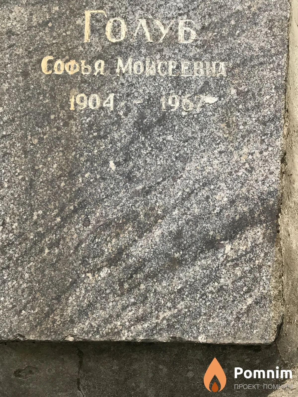 Голуб Софья Моисеева