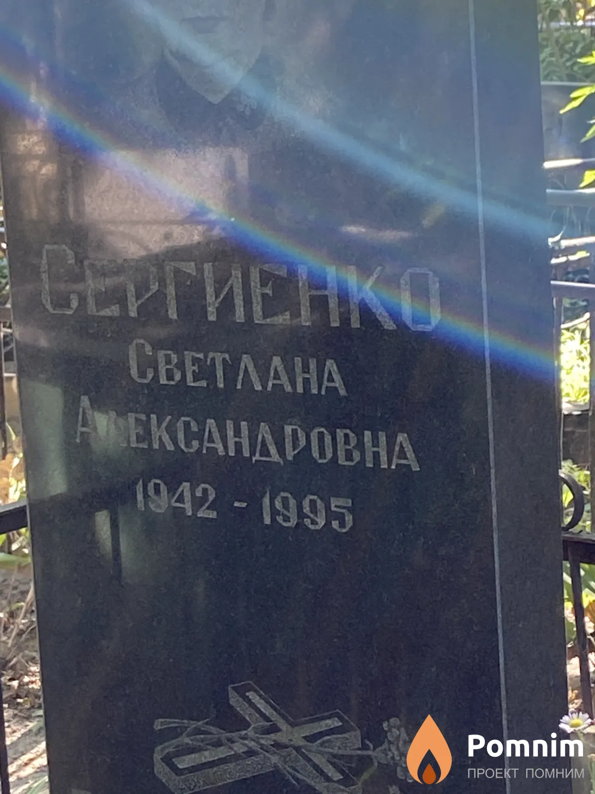 Сергиенко Светлана Александровна