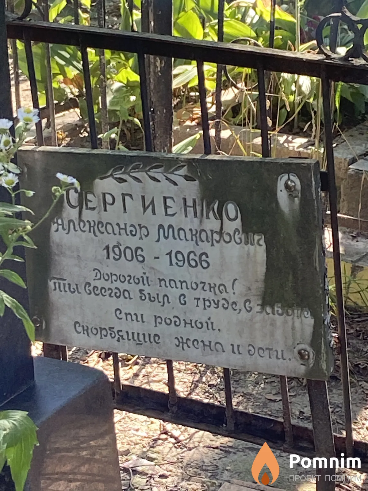Сергиенко Александр Макаровна
