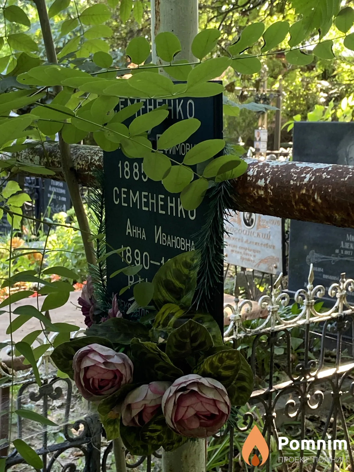 Семененко Илья Ефимович