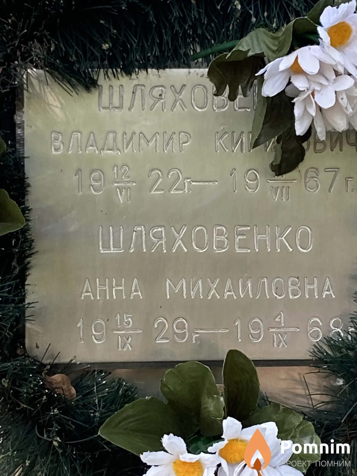 Шляховенко Анна Михайловна