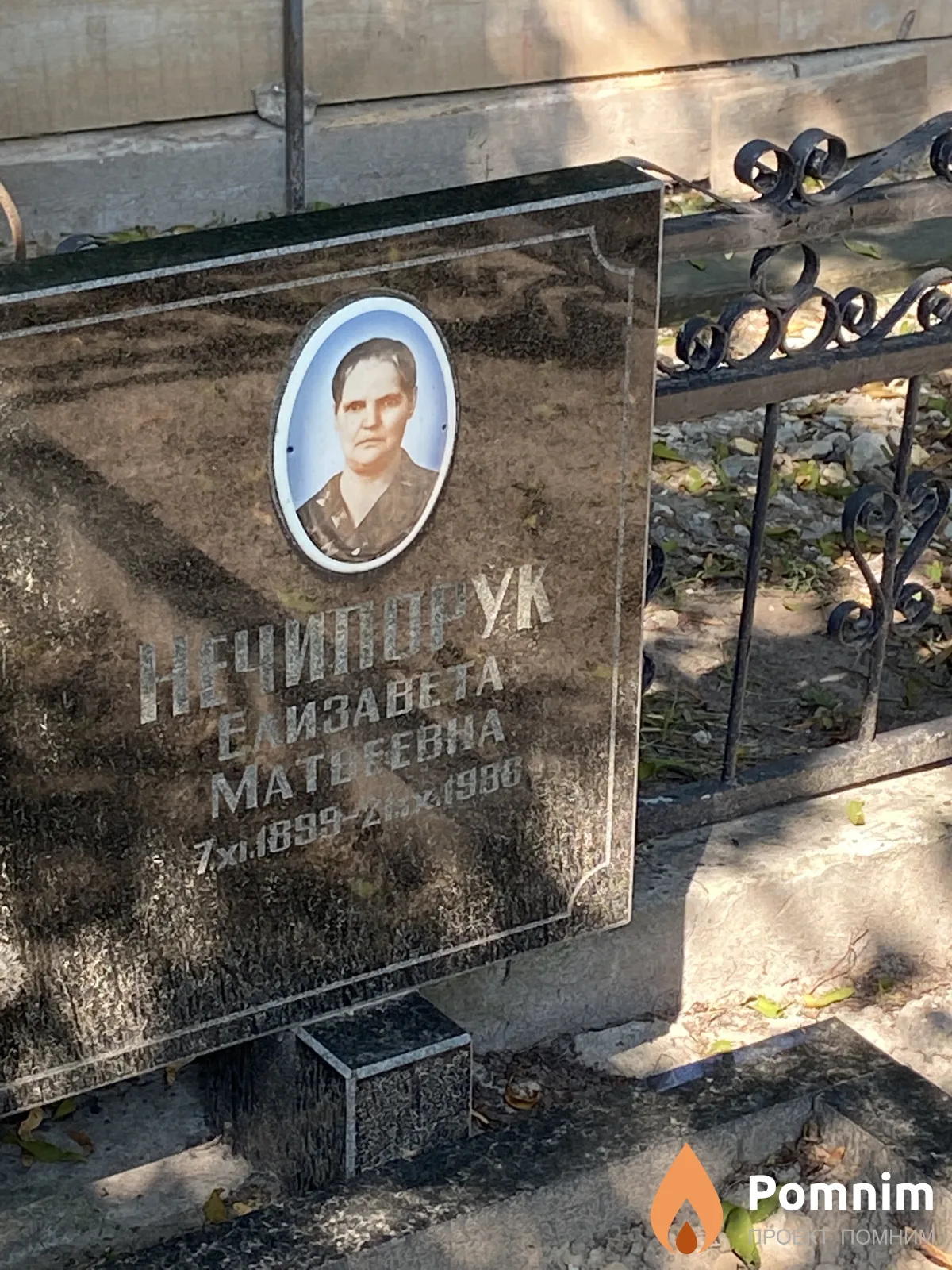 Ничипорук Елизавета Матвеевна