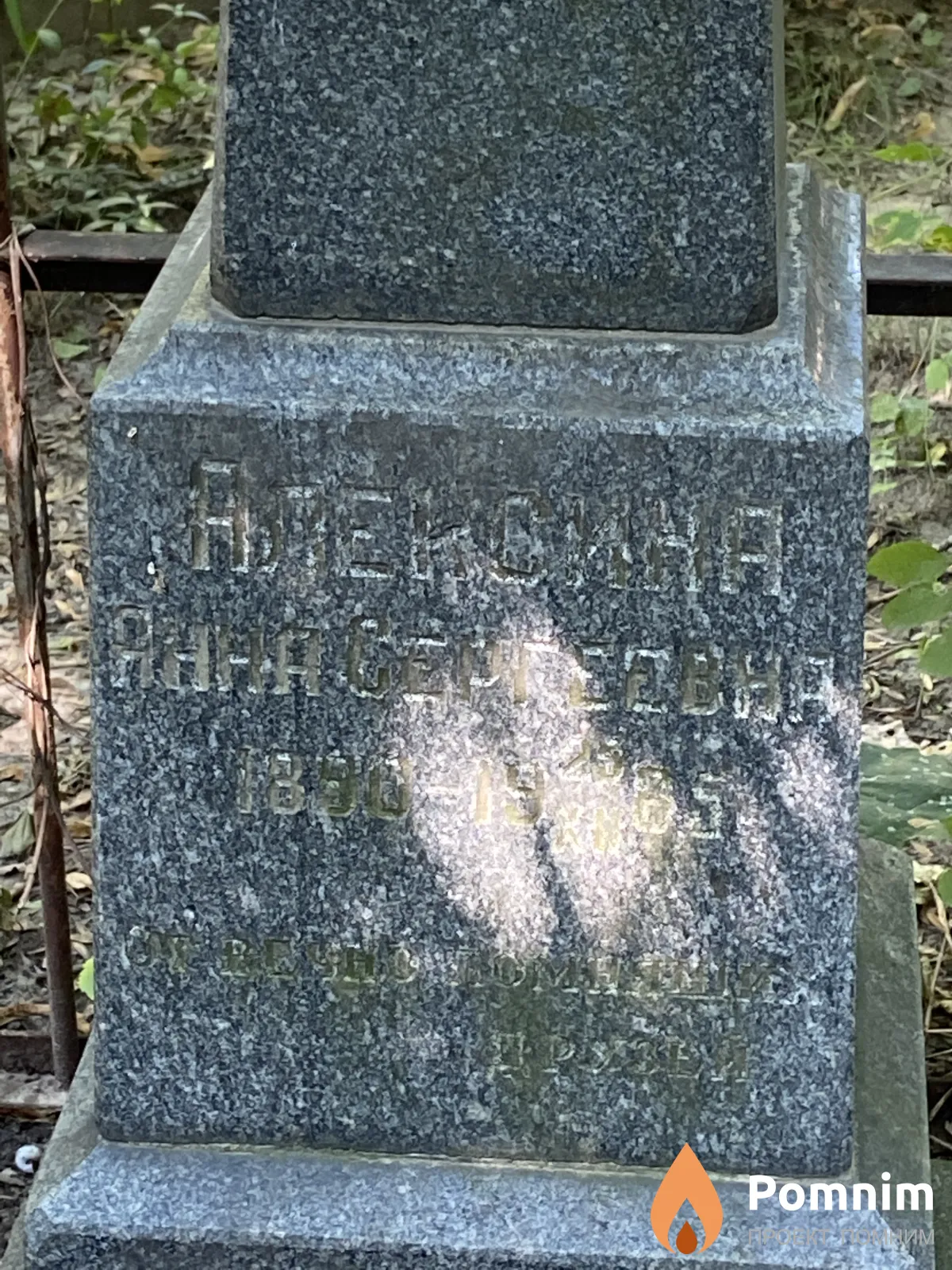 Алексина Анна Сергеевна