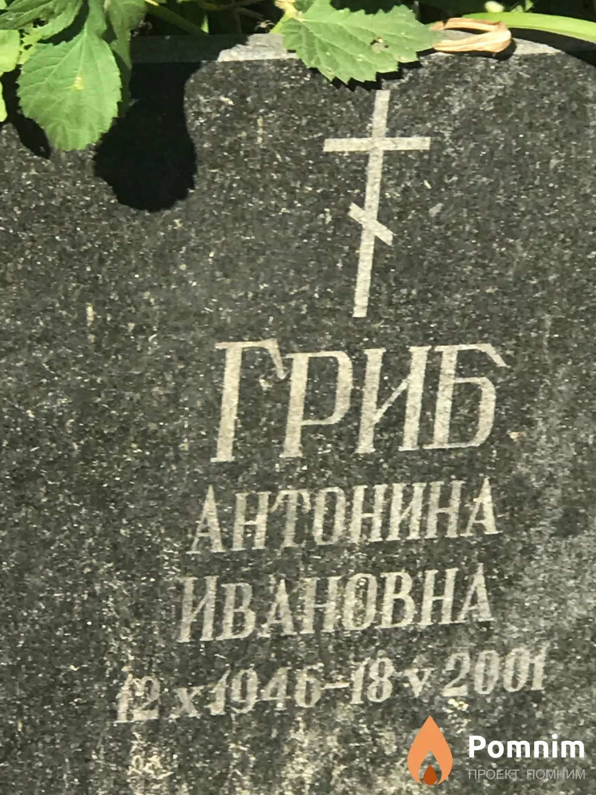 Гриб Антонина Ивановна