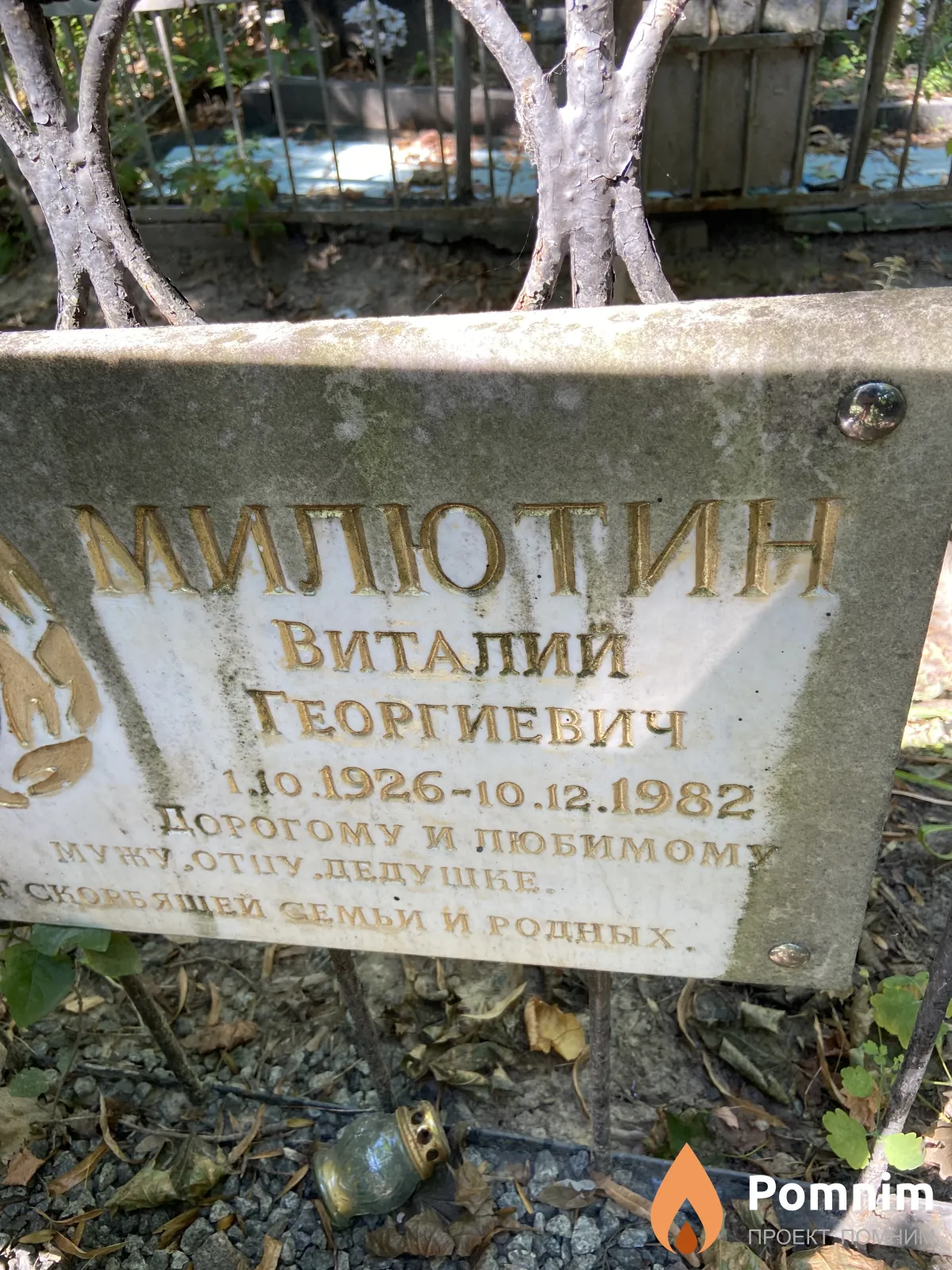 Милютин Виталий Георгиевич