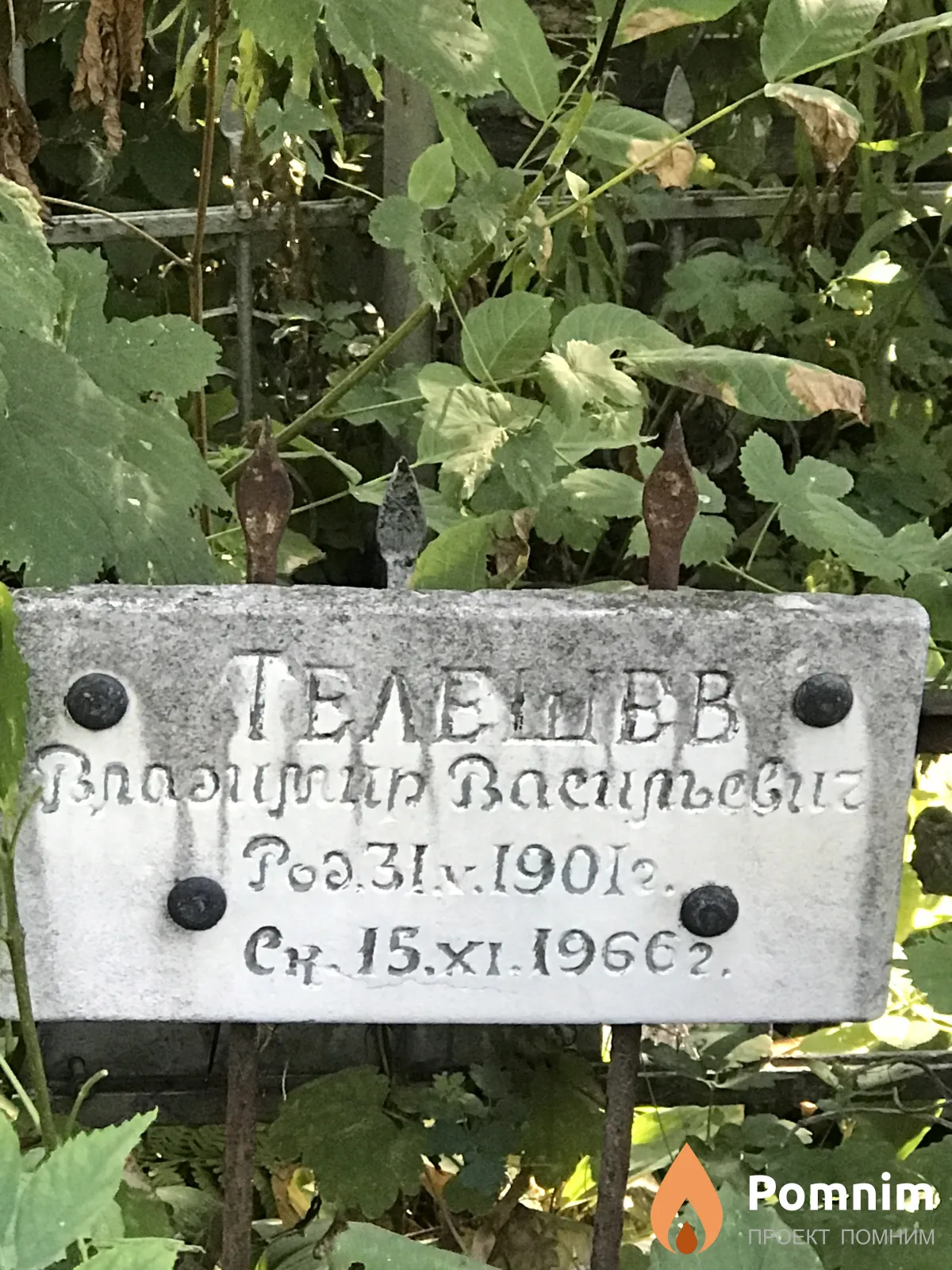 Телешев Владимир Васильевич