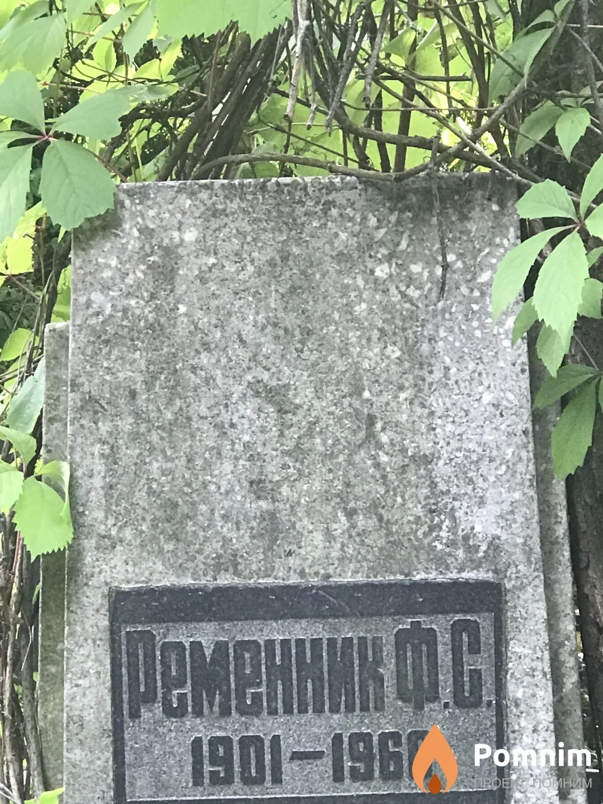 Ременник Ф С