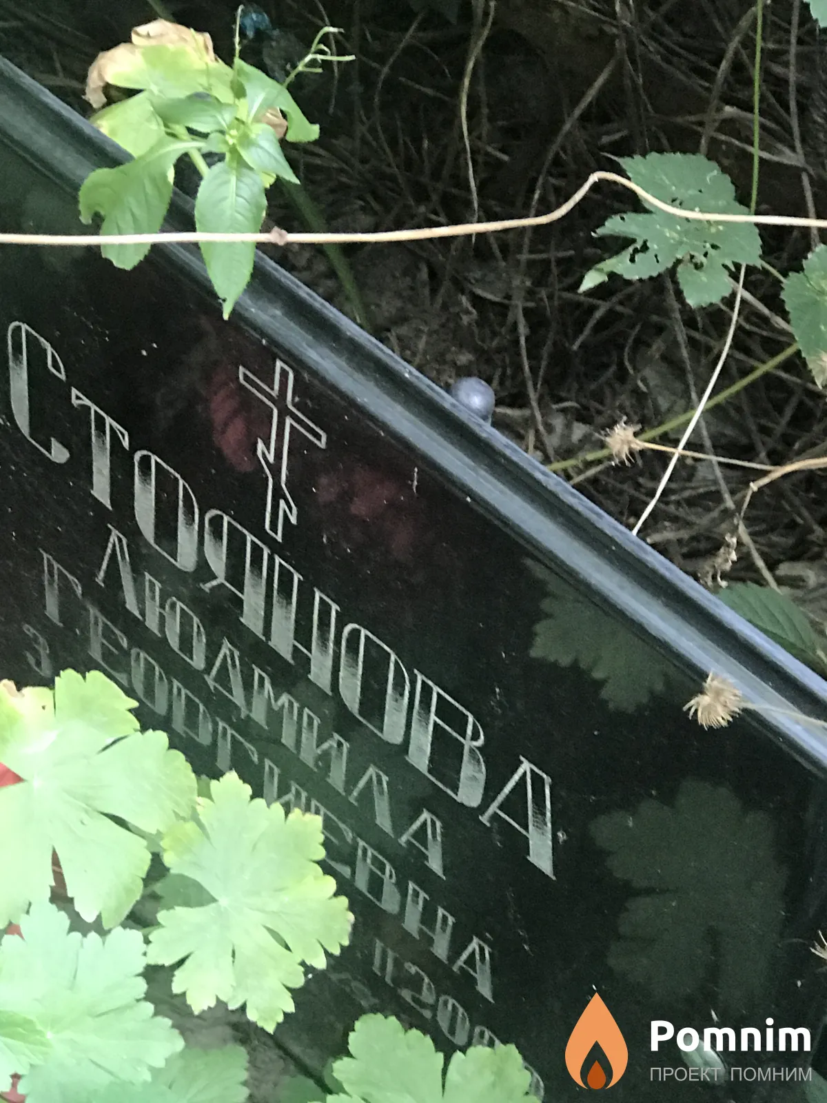 Стоянова Людмила Георгиевна