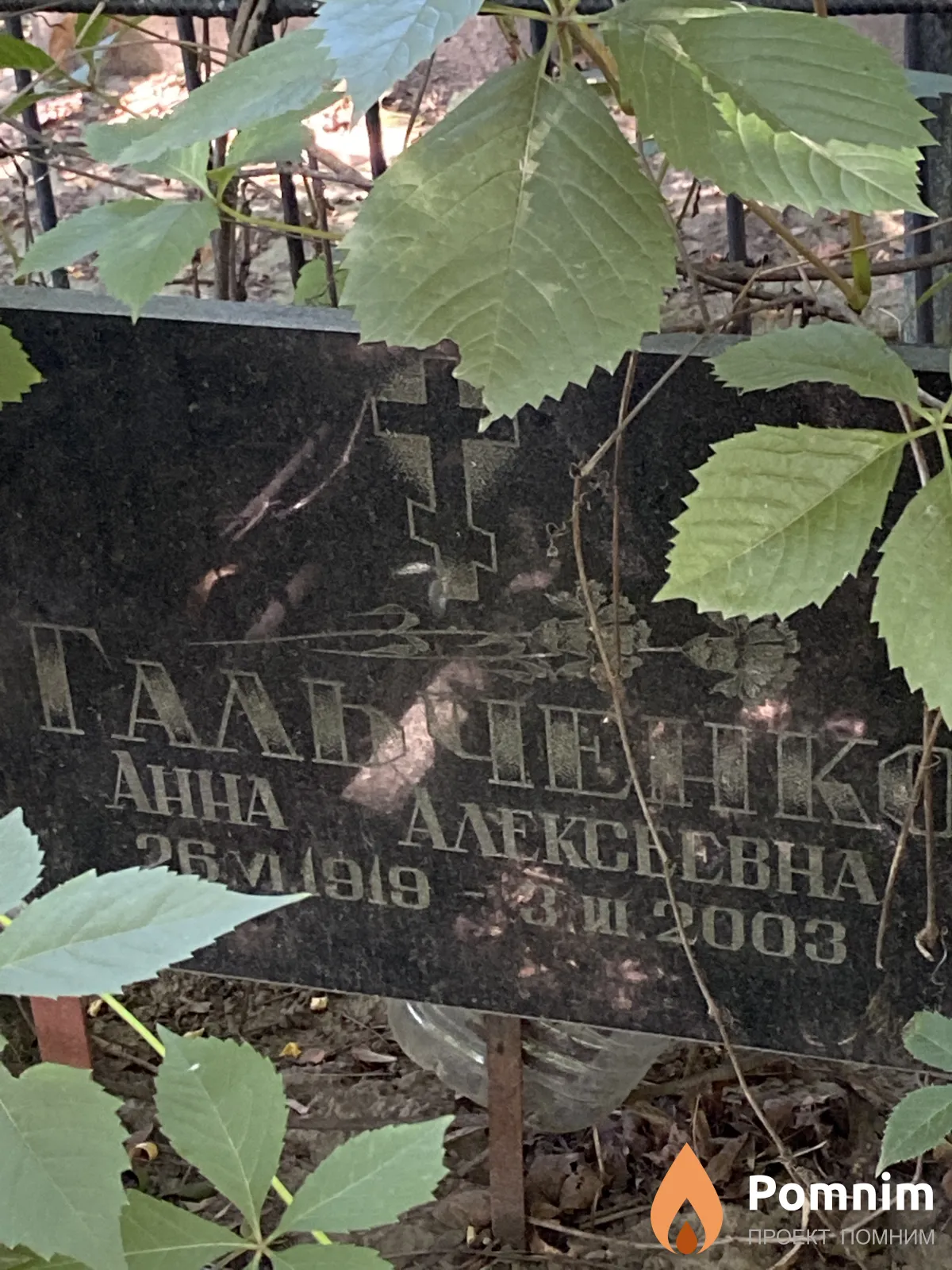 Гальченко Анна Алексаевна