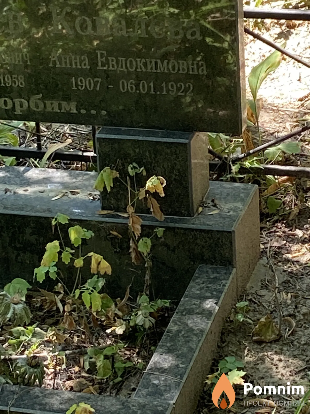 Ковалева Анна Евдокимовна