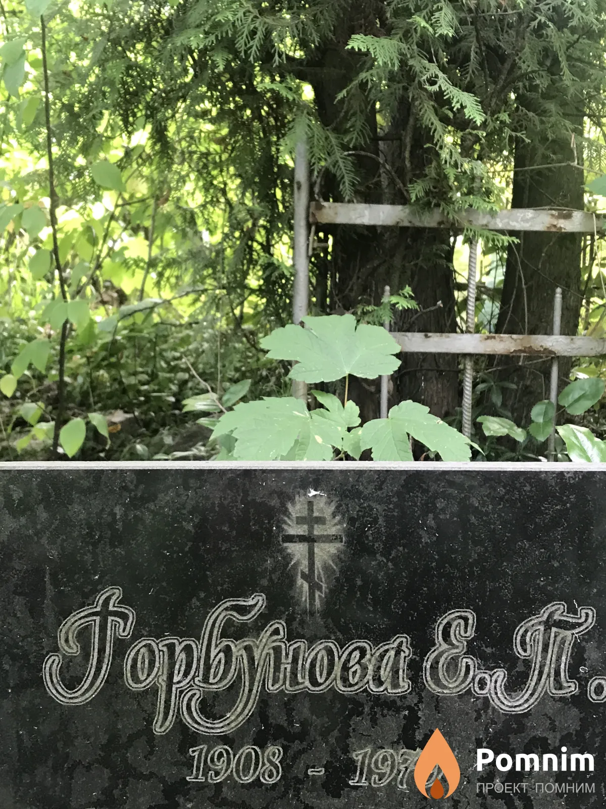 Горбунова Е П