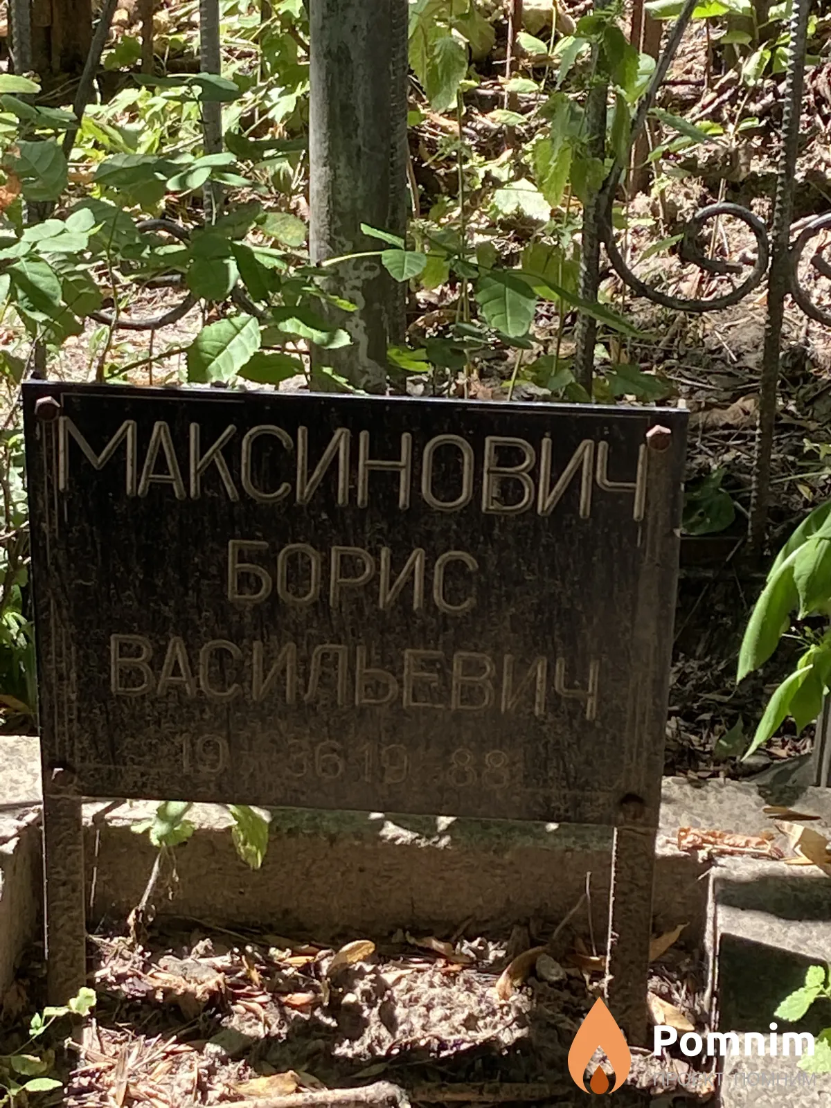 Максинович Борис Васильевич