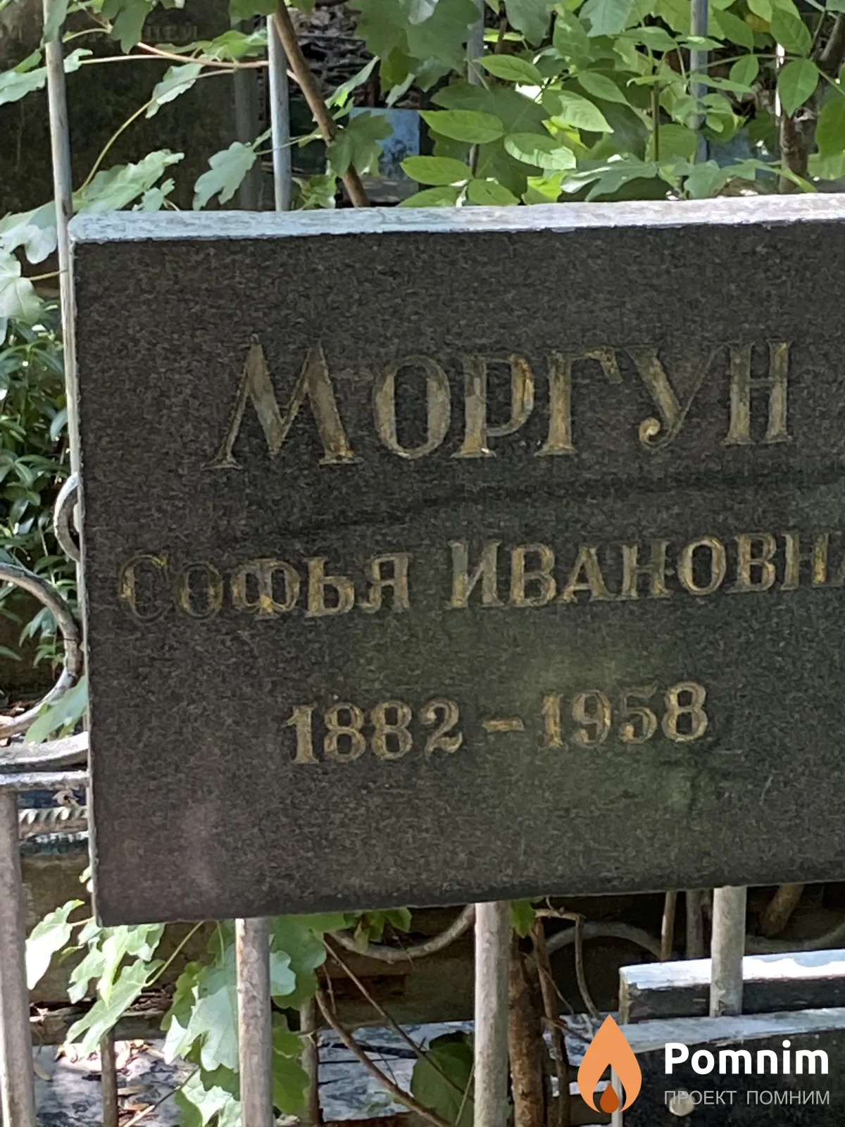 Моргун Софья Ивановна