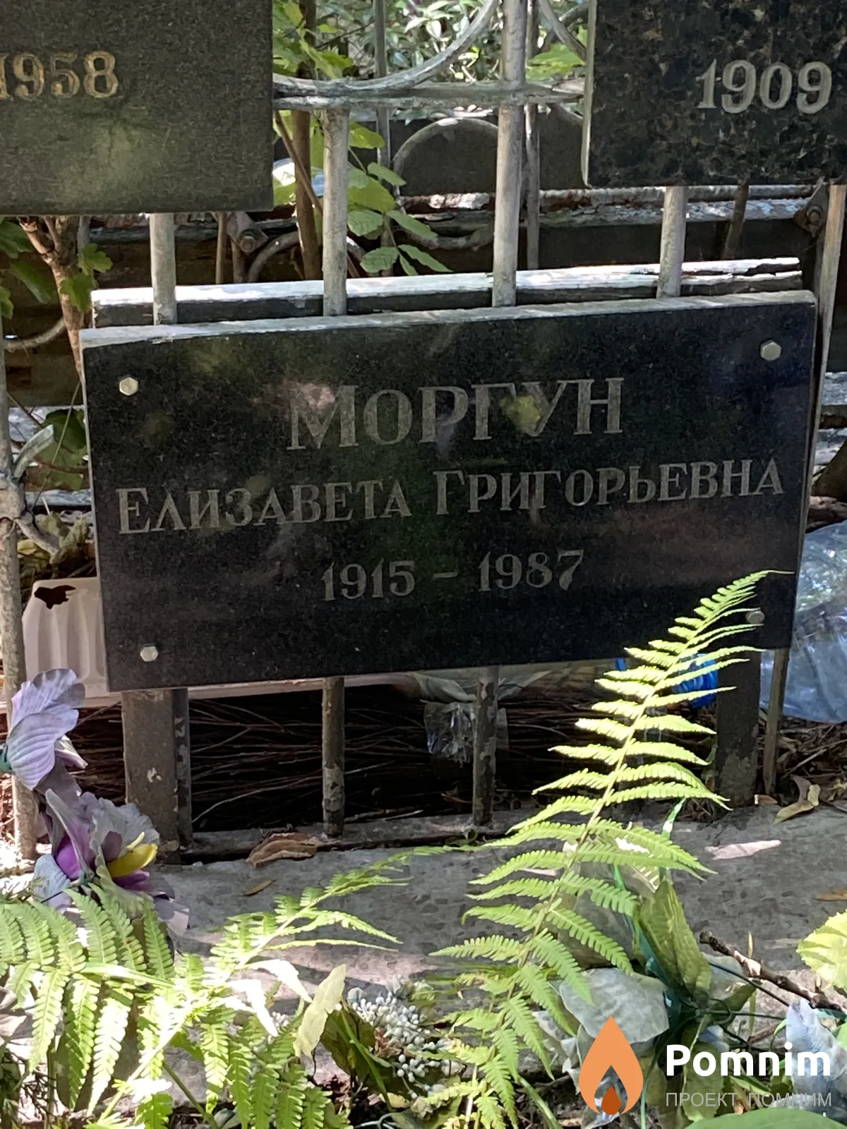 Моргун Елизавета Григорьевна