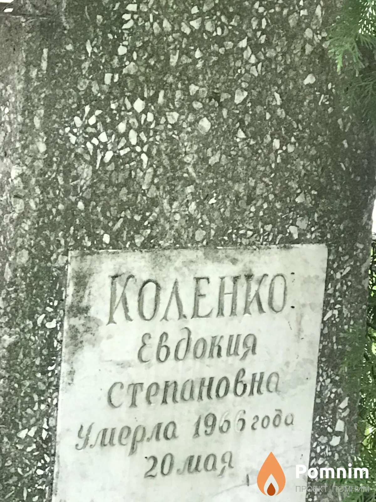 Коленко Евдокия Степановна