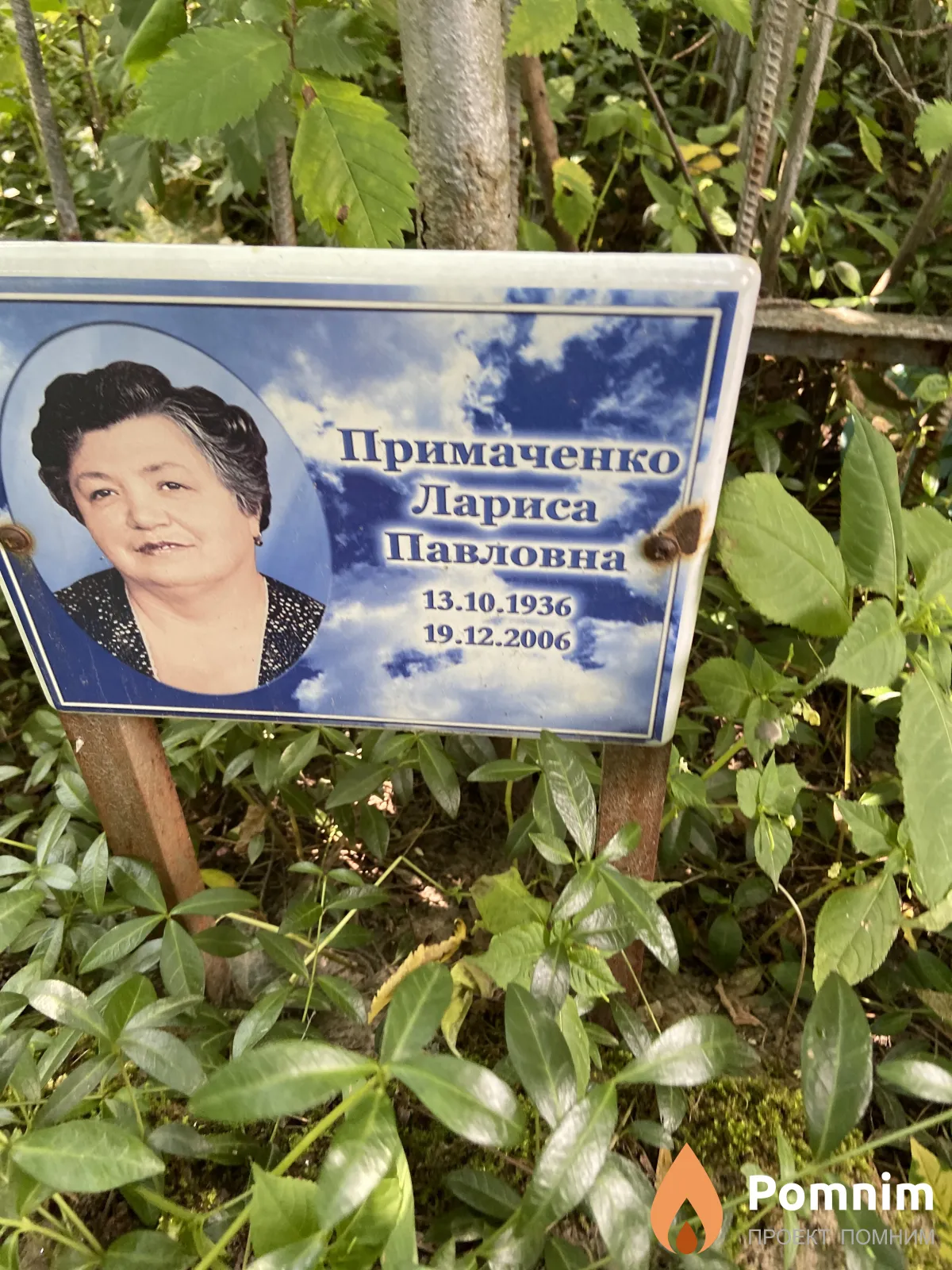 Примаченко Лариса Павловна