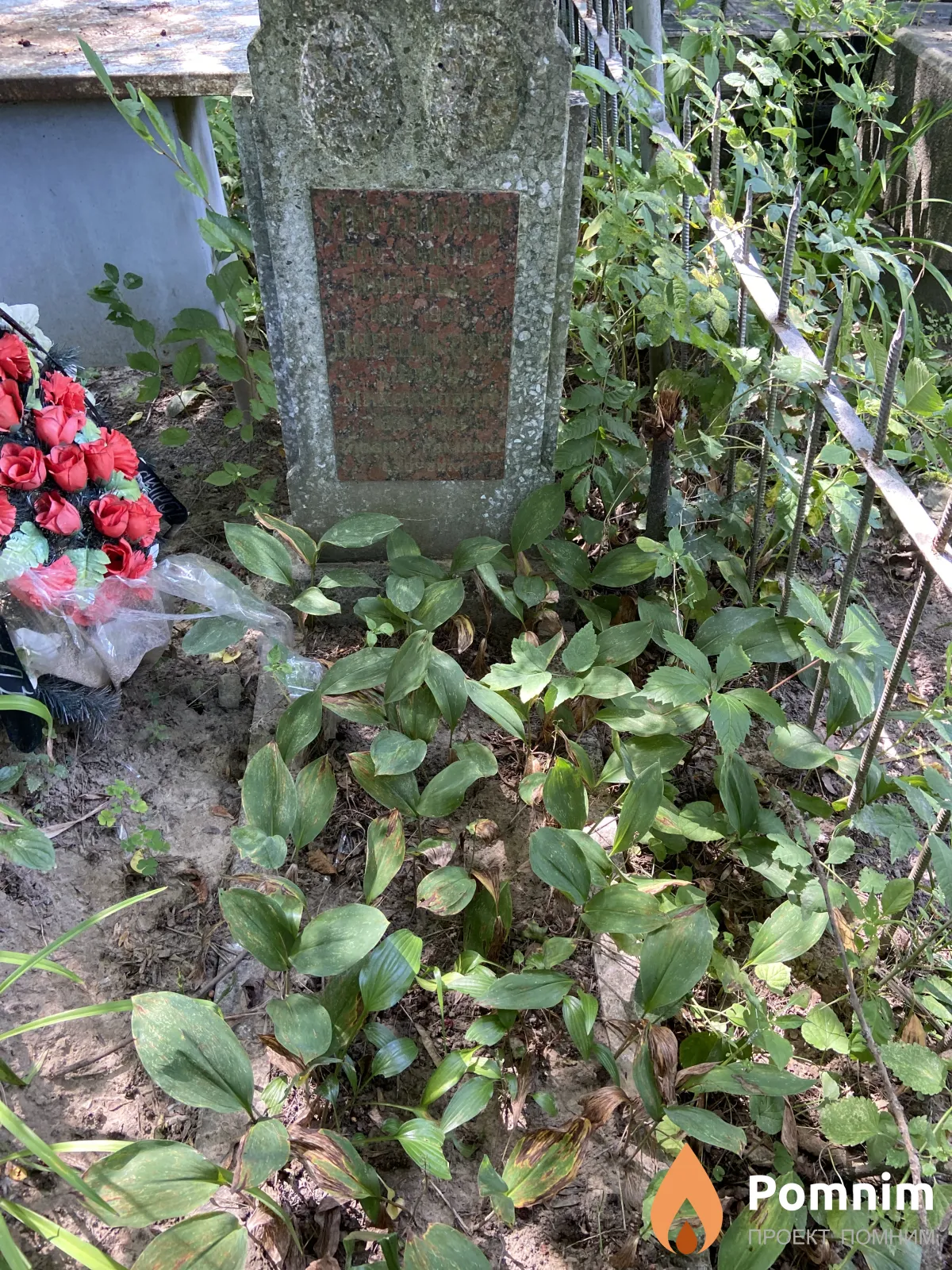 Парников Алексей Иванович