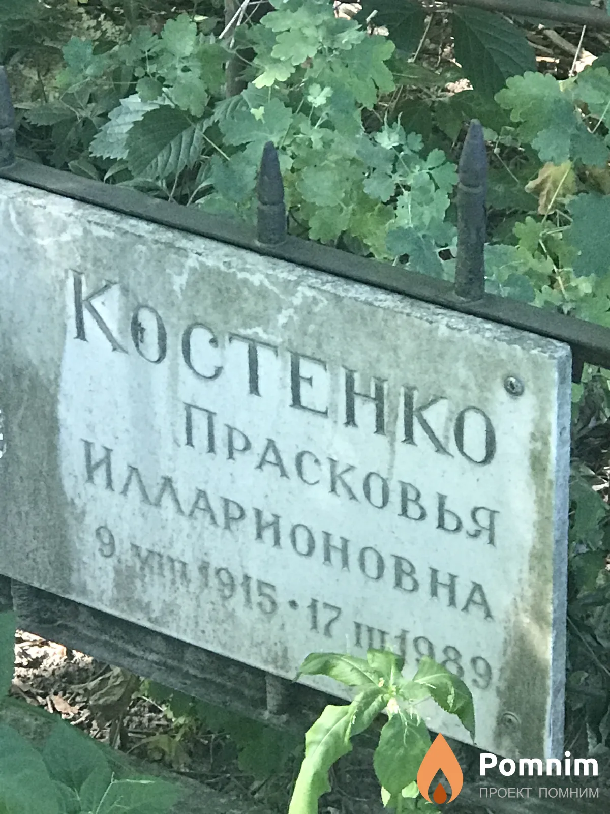 Костенко Прасковья Илларионовна