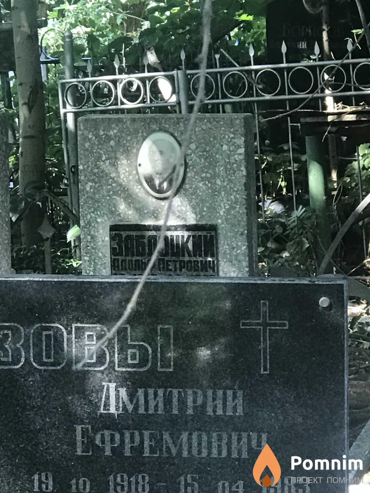 Полозов Дмитрий Евремович